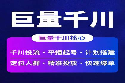 顶级SEM服务公司案例解析